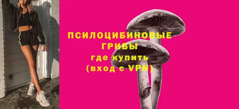 Псилоцибиновые грибы Magic Shrooms  мега как зайти  Билибино  купить закладку 